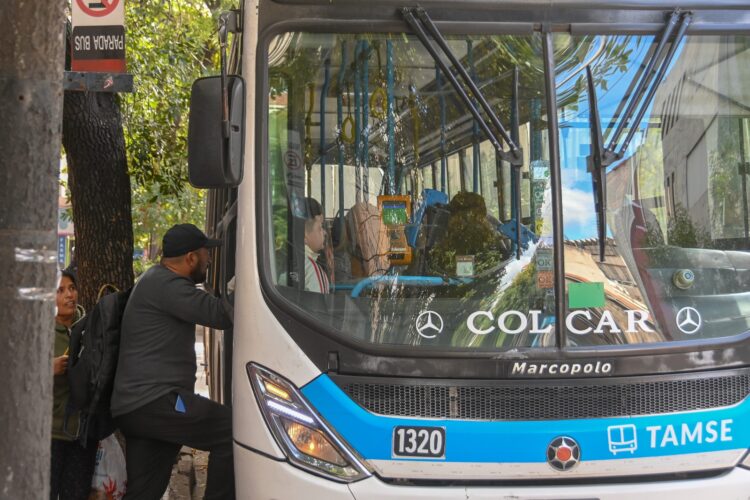 El cambio alcanza a 24 líneas de colectivos.