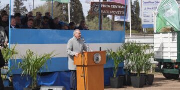 Córdoba proyecta una cosecha récord