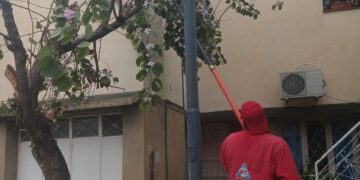 Defensa Civil atendió 37 requerimientos causados por la lluvia