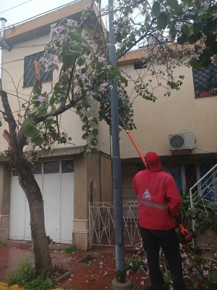La lluvia dejó 37 llamados por árboles y postes en riesgo Defensa Civil también intervino por un domicilio anegado y un pedido de asistencia social.