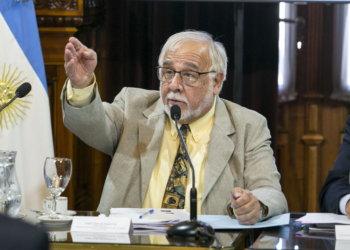 El senador Juan Carlos Pagotto en el Congreso.