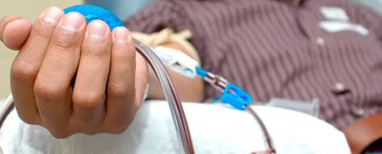 Trasplantes de médula ósea: ya se realizaron 992 en 2026 Donación de médula ósea. Fuente: gentileza de primerplanoonline.com.ar