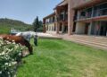 Finde largo en Buena Vida Apart: desconexión total en Villa Icho Cruz, con piscina climatizada y bajada al río