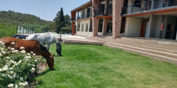 Finde largo en Buena Vida Apart: desconexión total en Villa Icho Cruz, con piscina climatizada y bajada al río