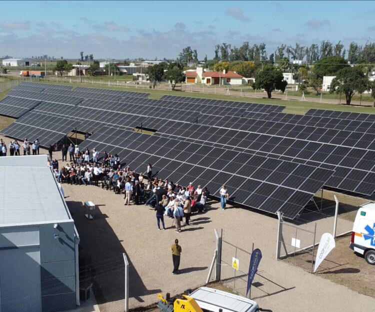 Parques solares comunitarios: la apuesta de pymes cordobesas para frenar la suba de tarifas.