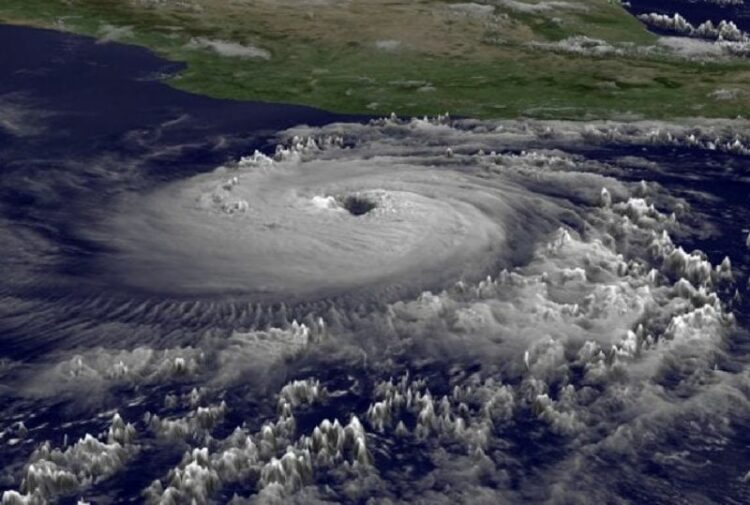 El evento El Niño afecta a la globalidad de la economía.