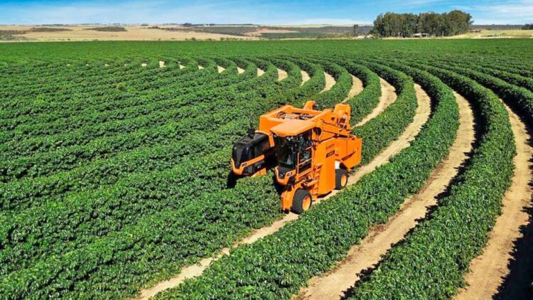 La agroindustria fue una de las actividades más afectadas.