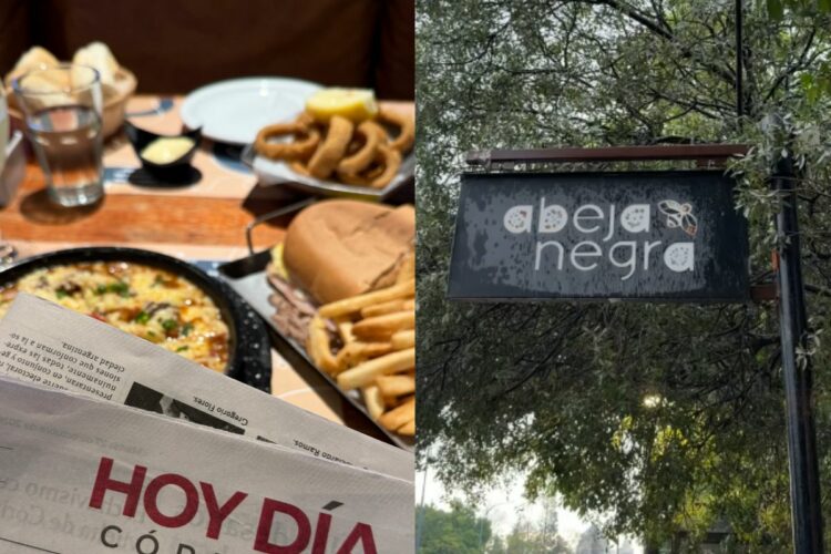 Visitamos Abeja Negra, en el Parque Sarmiento, para conocer su propuesta gastronómica, probar algunos de sus platos y conversar con Javier Micheli sobre la identidad del restaurante y los desafíos de la gastronomía cordobesa.