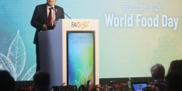 Día Mundial de la Alimentación la FAO llama a innovar para combatir el hambre