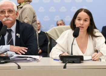 El Gobierno defendió la Ley Malvinas en Diputados y rechazó las críticas opositoras