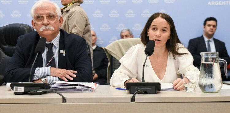 La secretaria de Legal y Técnica, María Ibarzabal Murphy, defendió el "Proyecto Malvinas" en la Cámara baja.