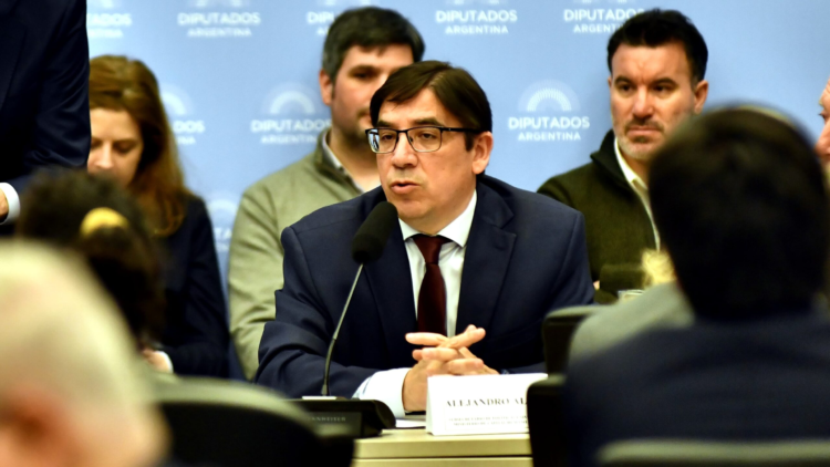 El subsecretario de Políticas Universitarias, Alejandro Álvarez, en la exposición en Diputados.