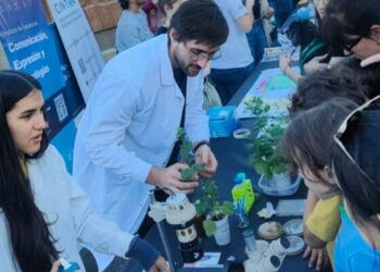 Llega la segunda edición del CONIFest 2026 en el MMAU Es un festival con actividades recreativas para acercar la ciencia a la comunidad.