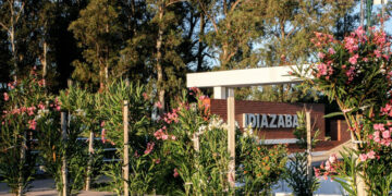 Idiazabal.