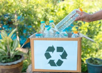 Lanzan un manual para valorizar residuos urbanos y promover el reciclaje