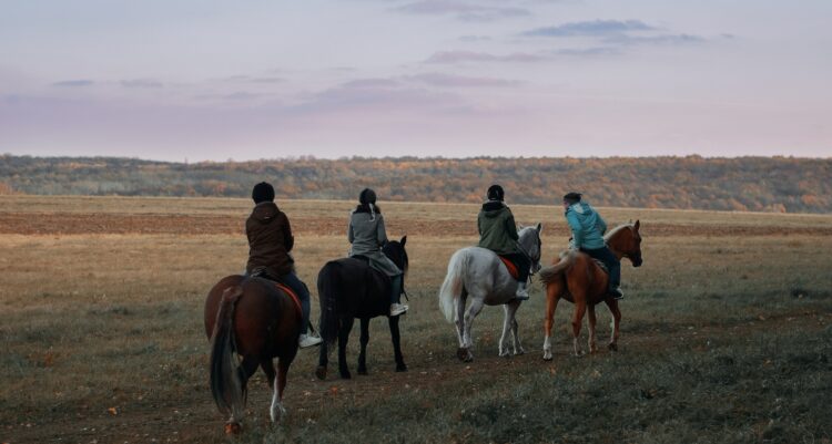 Más de 40 propuestas para descubrir Córdoba a caballo Mes del Turismo Ecuestre: más de 40 propuestas invitan a descubrir Córdoba a caballo durante octubre.