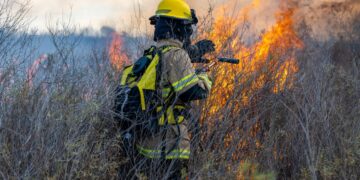 Satellites on Fire, la startup argentina que se adelanta a la NASA contra el fuego.