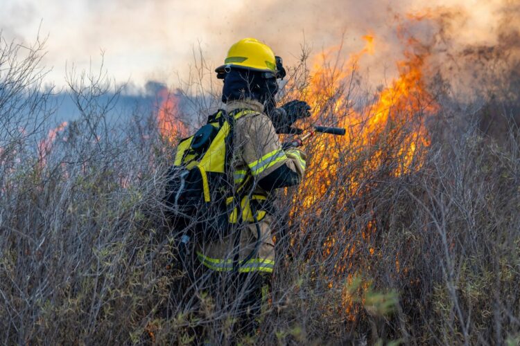 Satellites on Fire: de proyecto escolar a competir con la NASA en la detección de incendios Satellites on Fire, la startup argentina que se adelanta a la NASA contra el fuego.