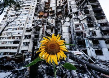 Vivir lejos, sin dejar de estar cerca: la historia de Olha
