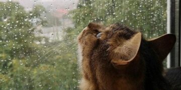 Jueves inestable y con lluvias