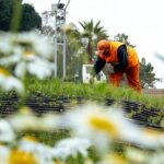 Un nuevo paseo conectará los museos, el Rosedal, el super park y el Faro Un nuevo paseo conectará los museos, el Rosedal, el super park y el Faro