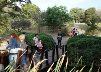 El Jardín Botánico de Córdoba celebrará su día con actividades gratuitas para toda la familia El Jardín Botánico de Córdoba celebrará su día con actividades gratuitas para toda la familia