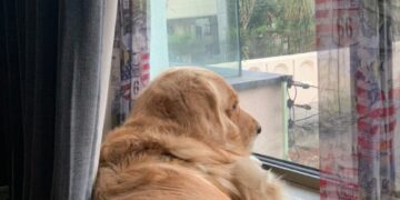 Córdoba tendrá una jornada cálida y anuncian lluvias débiles para la noche