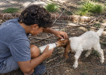 Tiene 13 años y necesita el amor y la contención de un hogar.