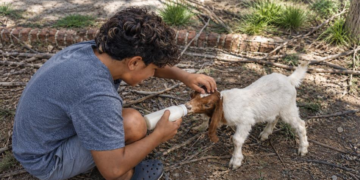 Tiene 13 años y necesita el amor y la contención de un hogar.