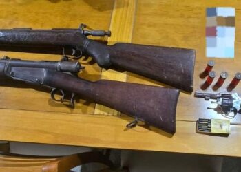 Parte del armamento incautado en el operativo policial en zona rural.