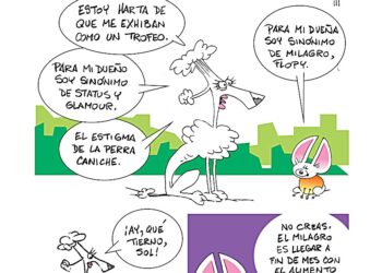 Tutuca 09.10.2026