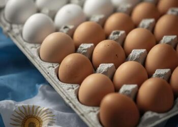 Argentina se consolida como el mayor consumidor de huevo del mundo