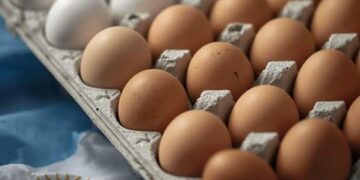 Argentina se consolida como el mayor consumidor de huevo del mundo