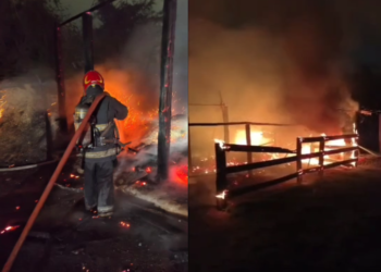 Bomberos trabajaron en el incendio que dejó dos caballos muertos y otros dos heridos en Villa Rivera Indarte.