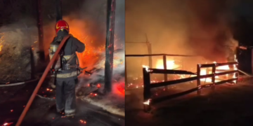 Bomberos trabajaron en el incendio que dejó dos caballos muertos y otros dos heridos en Villa Rivera Indarte.