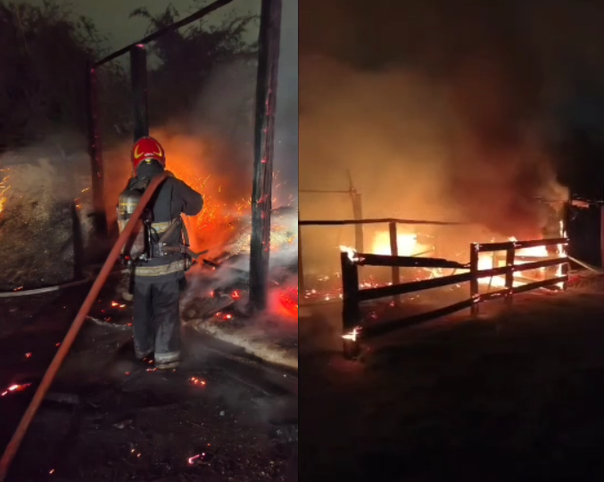 Tragedia en un club hípico: un incendio provocó la muerte de dos caballos Bomberos trabajaron en el incendio que dejó dos caballos muertos y otros dos heridos en Villa Rivera Indarte.