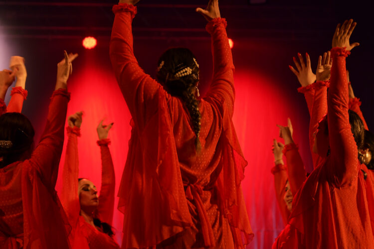 Desde 2001, la Compañía Flamenca Alcántara ha desarrollado más de 25 producciones, varias de ellas declaradas de interés cultural a nivel provincial y municipal.
Foto: Laura Avalos.