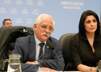 Plenario de Defensa Nacional, Legislación Penal, Relaciones Exteriores y Culto en Diputados.