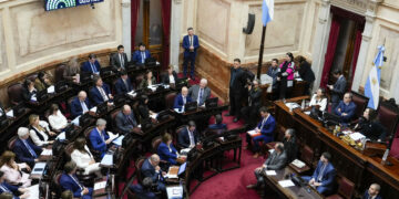 El Senado aprobó la reforma de la Ley de Salud Mental y habilitó las internaciones involuntarias El Senado aprobó la reforma de la Ley de Salud Mental y habilitó las internaciones involuntarias
